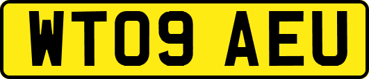 WT09AEU
