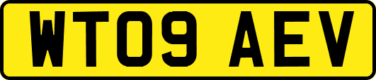 WT09AEV