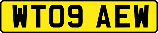 WT09AEW