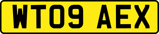 WT09AEX