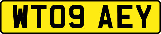 WT09AEY