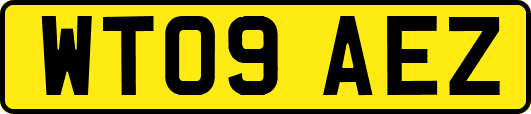 WT09AEZ