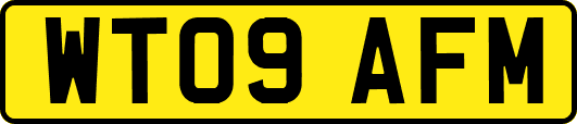 WT09AFM