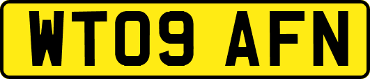 WT09AFN