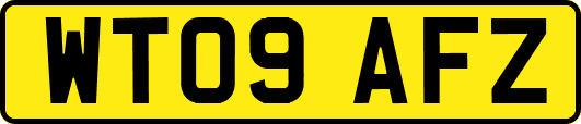 WT09AFZ