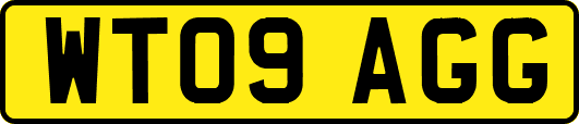 WT09AGG