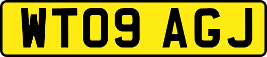 WT09AGJ