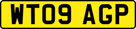 WT09AGP