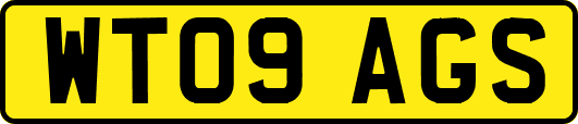 WT09AGS