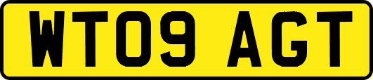 WT09AGT