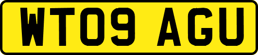 WT09AGU