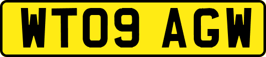 WT09AGW