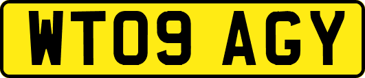 WT09AGY
