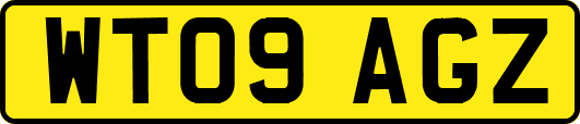 WT09AGZ