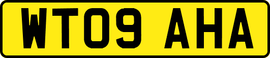 WT09AHA