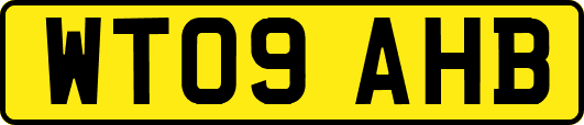 WT09AHB