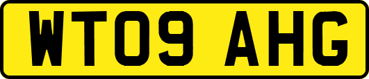 WT09AHG
