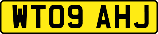 WT09AHJ