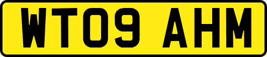 WT09AHM