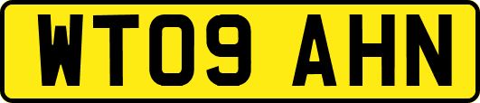 WT09AHN