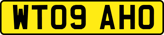 WT09AHO