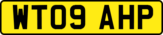 WT09AHP