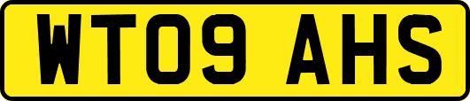 WT09AHS