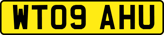 WT09AHU