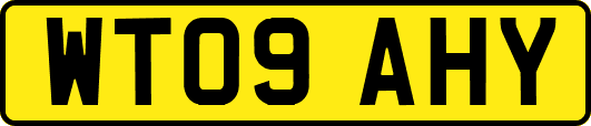 WT09AHY