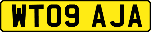 WT09AJA