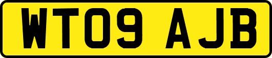 WT09AJB