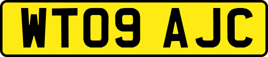 WT09AJC