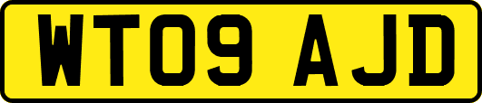 WT09AJD