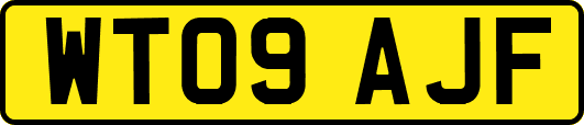 WT09AJF