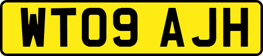 WT09AJH