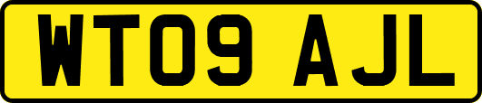 WT09AJL