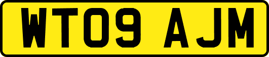 WT09AJM