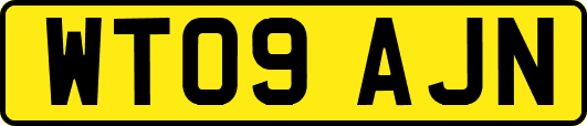 WT09AJN