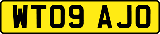 WT09AJO
