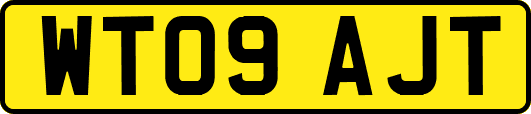 WT09AJT