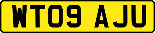 WT09AJU