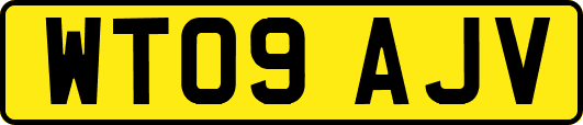 WT09AJV