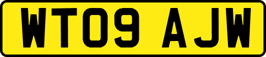 WT09AJW