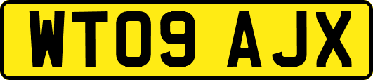 WT09AJX