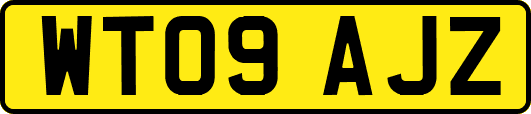 WT09AJZ