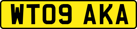 WT09AKA