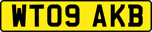 WT09AKB