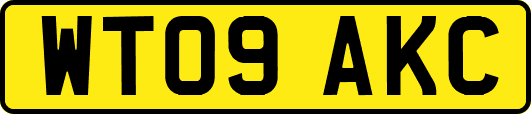 WT09AKC