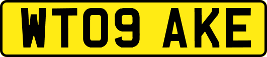 WT09AKE