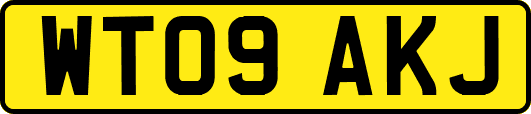 WT09AKJ